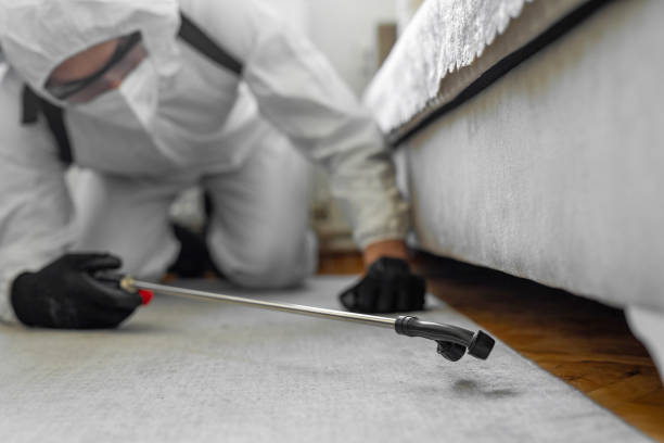 Professional Mosquito Control technician working in Patchogue, NY